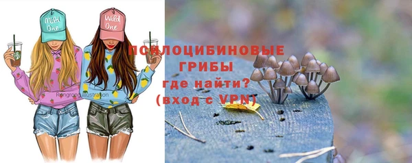 соль ск Иннополис