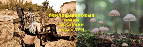 соль ск Иннополис