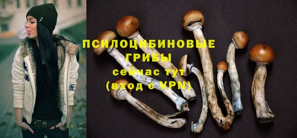 соль ск Иннополис